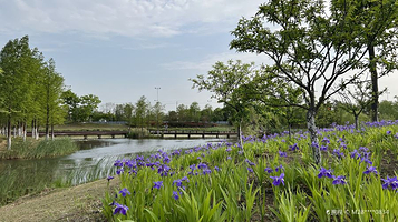 黄泗浦生态公园