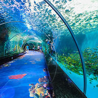 福州永泰欧乐堡海洋世界