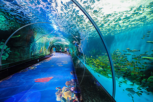 福州永泰欧乐堡海洋世界