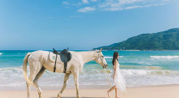 三亚海骑马术俱乐部