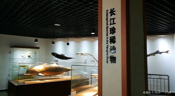 水生生物博物馆