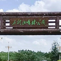 石龙山国家森林公园