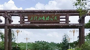 石龙山国家森林公园