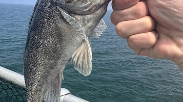 日照世帆赛海钓俱乐部