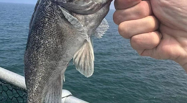 日照世帆赛海钓俱乐部