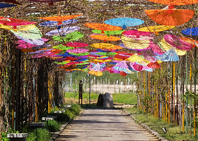 太阳岛(鸭绿江国家级风景名胜区店)