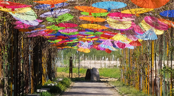 太阳岛(鸭绿江国家级风景名胜区店)