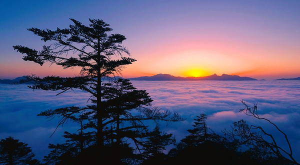 二郎山喇叭河风景区