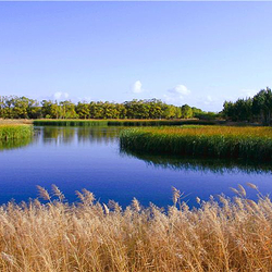 黄河三盛公水利风景区