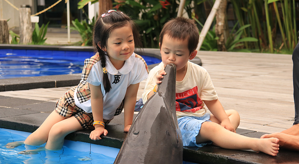 巴厘岛海豚乐园