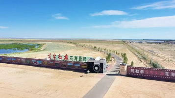 阿勒泰戈宝红麻花海景区