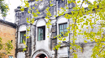 海洋乡大桐木湾村