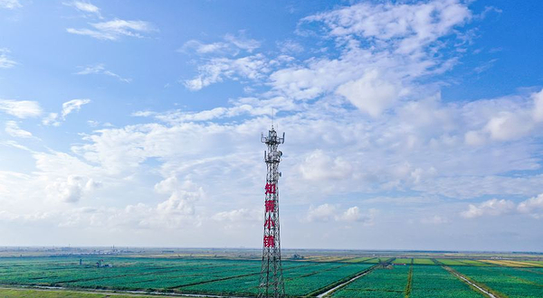 黄河口知青小镇