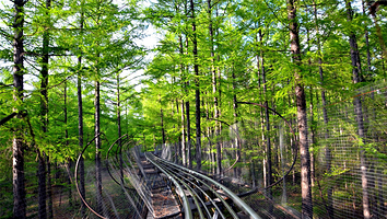 净月缆车滑道站