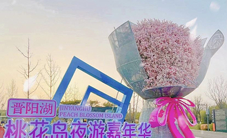 晋阳湖桃花岛灯会