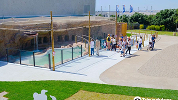 波尔图海洋生物馆