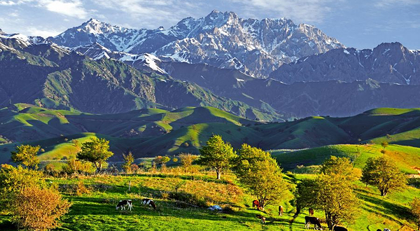 中华福寿山景区