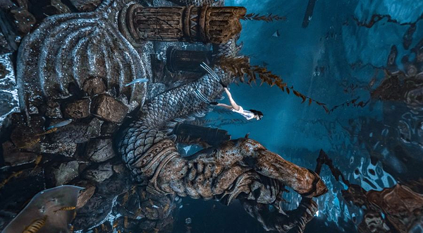 哈尔滨鲨鱼潜水俱乐部