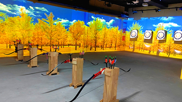 幻境城射箭馆(徐家汇店）