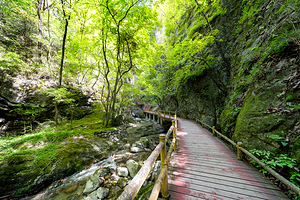 牛背梁国家级自然保护区