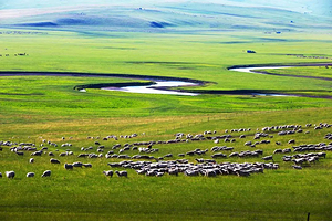 白音哈达旅游度假区