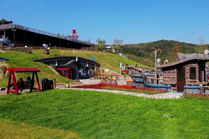 青龙洲野营基地