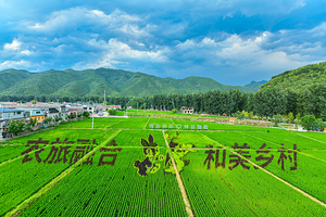 北京圣泉山水·稻田景区