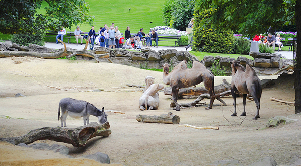 安特卫普动物园