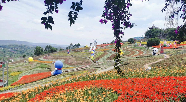 彩山四季花海