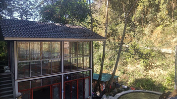 高黎贡山原始森林俱乐部