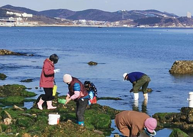 神州半岛赶海基地