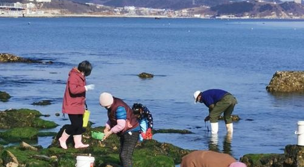 神州半岛赶海基地