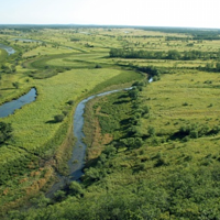 东方红湿地国家级自然保护区