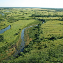 东方红湿地国家级自然保护区
