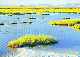 帕罗奥图海湾湿地自然保护区