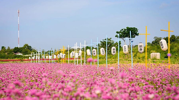 Tokyo Farm โตเกียวฟาร์ม