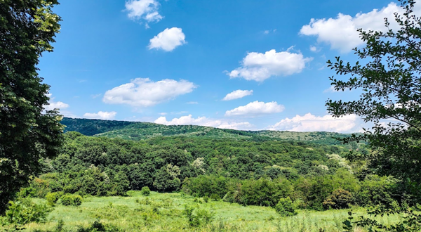 弗鲁什卡格拉国家公园