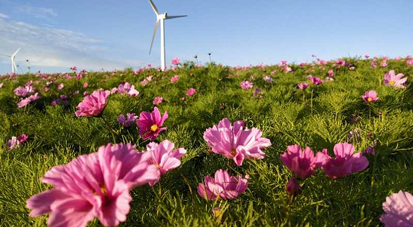 辉腾锡勒花海景区