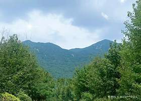 岗山国家森林公园