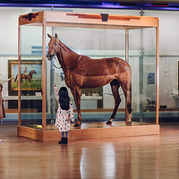 墨尔本博物馆
