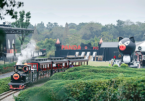 熊猫猪猪两头乌国际牧场