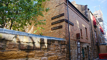 岩石区探索博物馆