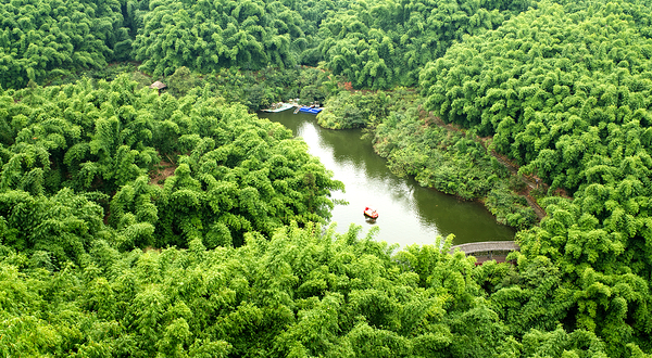 沐川竹海旅游景区