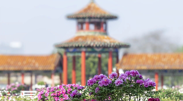 曹州百花园