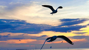 Bang Pu Recreation Center