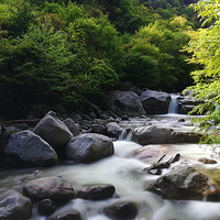青峰峡森林公园