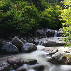 青峰峡森林公园