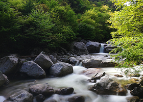 青峰峡森林公园