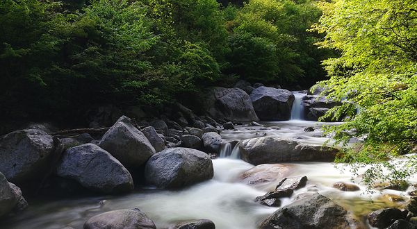 青峰峡森林公园