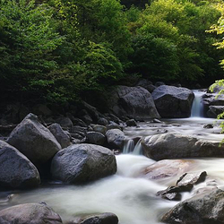 青峰峡森林公园